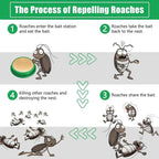 Roach Killer Gel Pods — Safe, Odorless Home Protection (Buy 1 Get 1 Free)